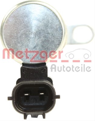 0899152 METZGER: METZGER - 0899152